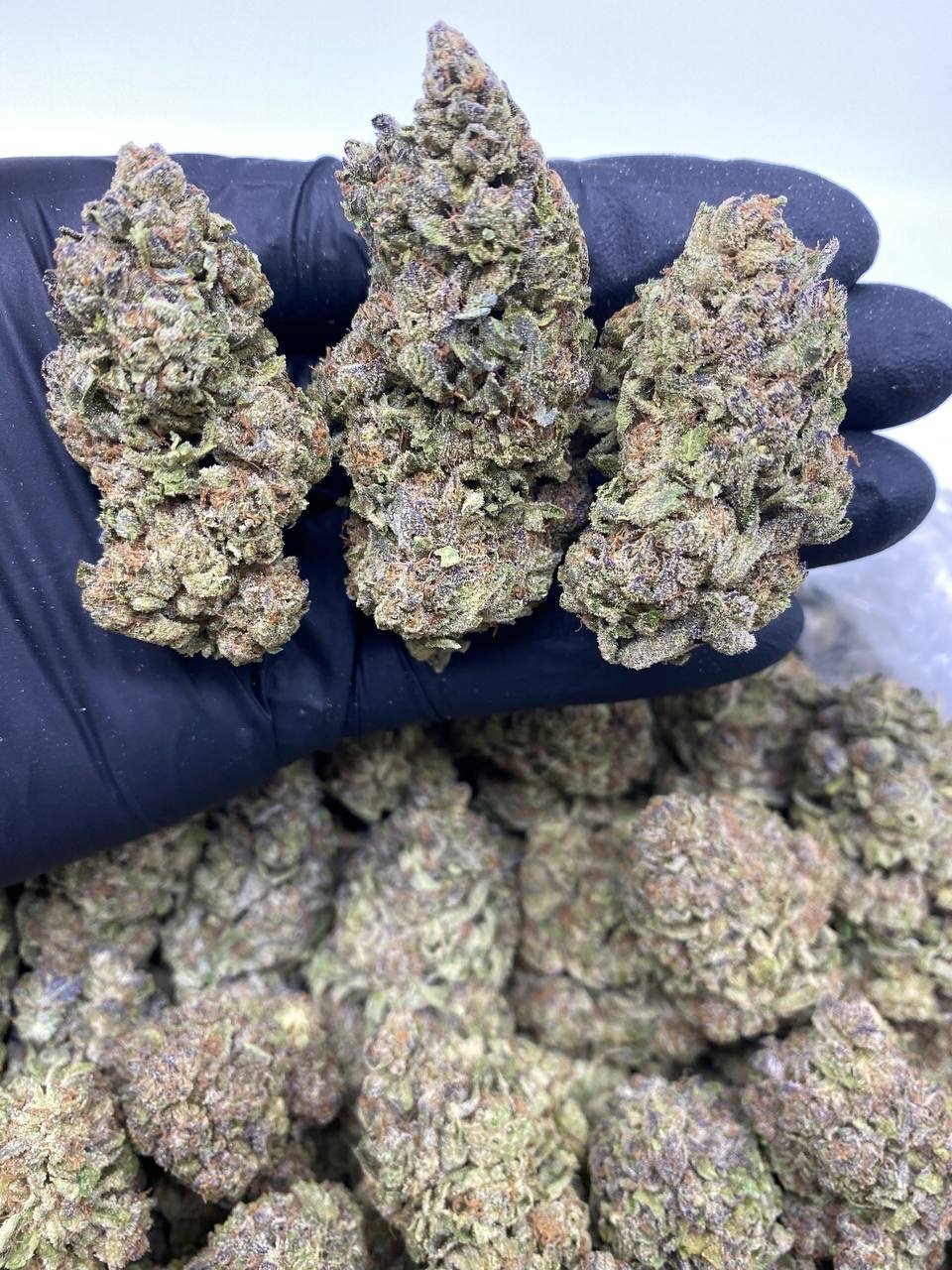 WEDDING PIE WEDDING PIE