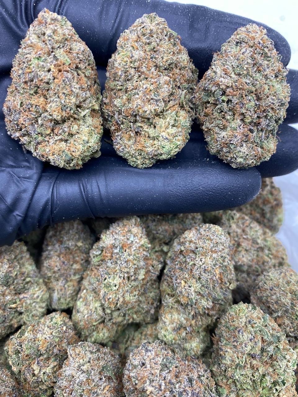 CHERRY DRIZZLE CHERRY DRIZZLE