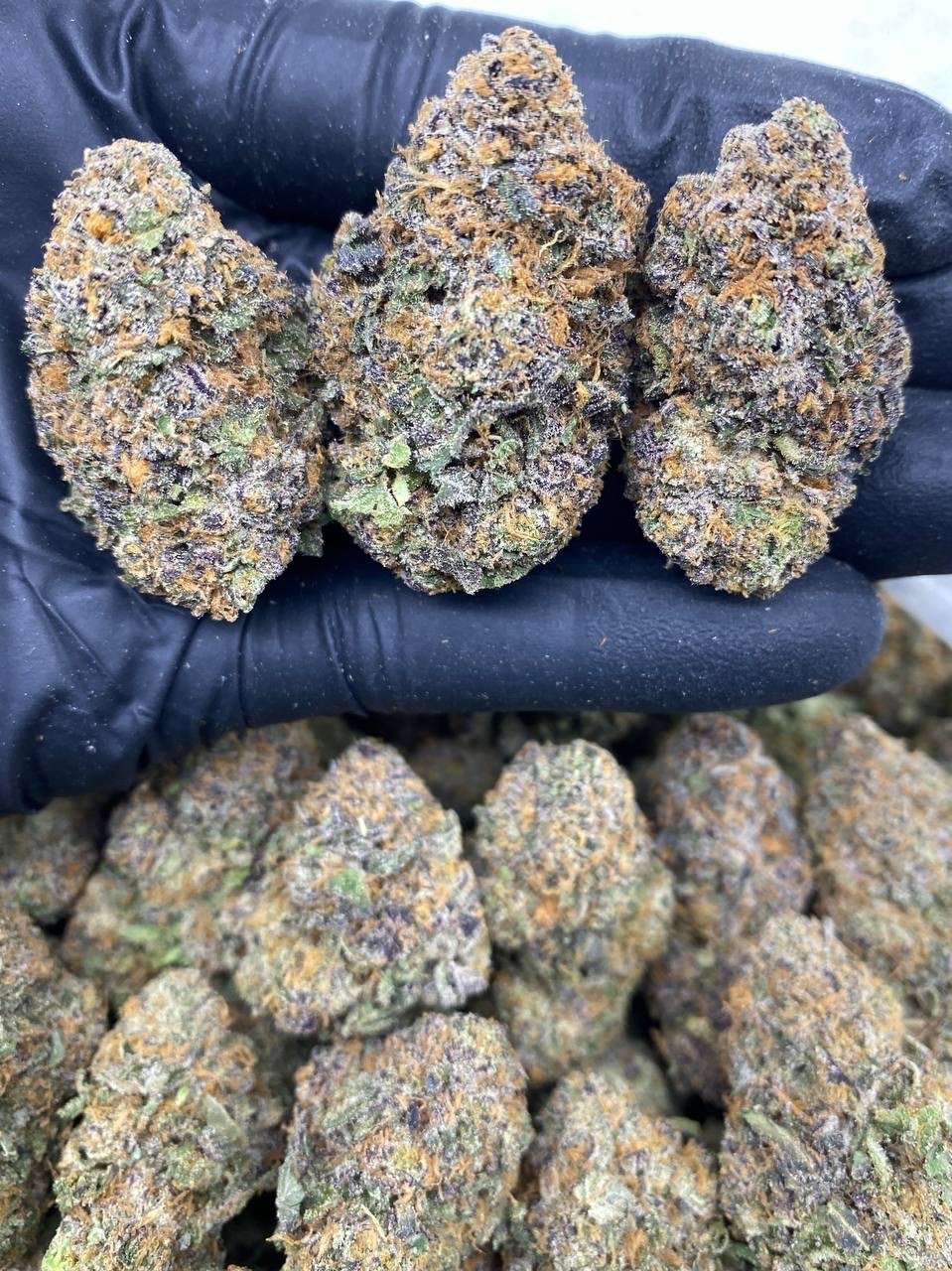 RAINBOW SWIRLS RAINBOW SWIRLS