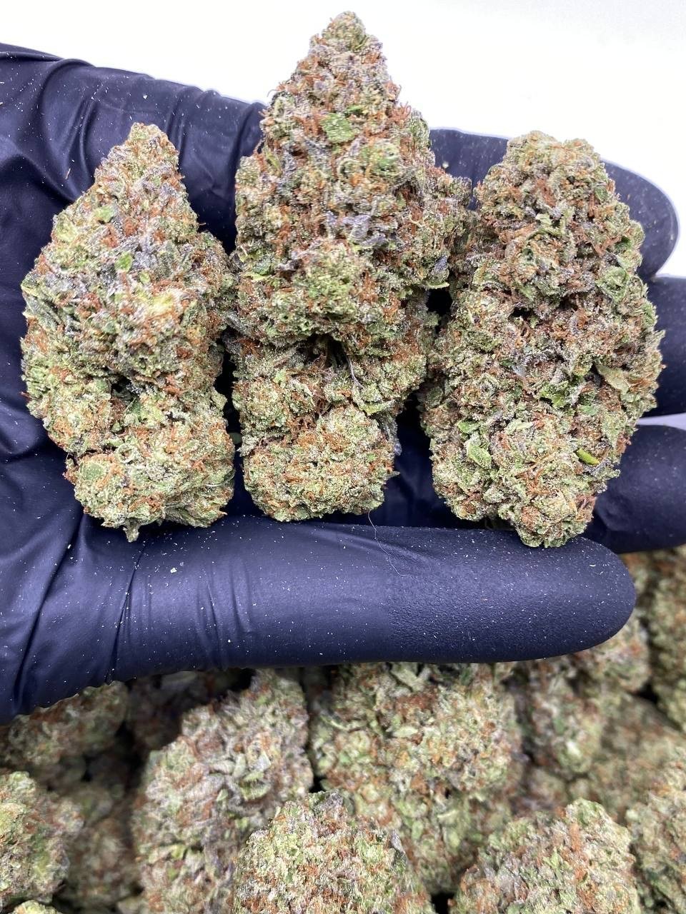 Frozay Cake Frozay Cake