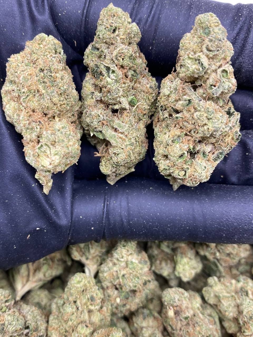 WEDDING CAKE MEDIUMS WEDDING CAKE MEDIUMS