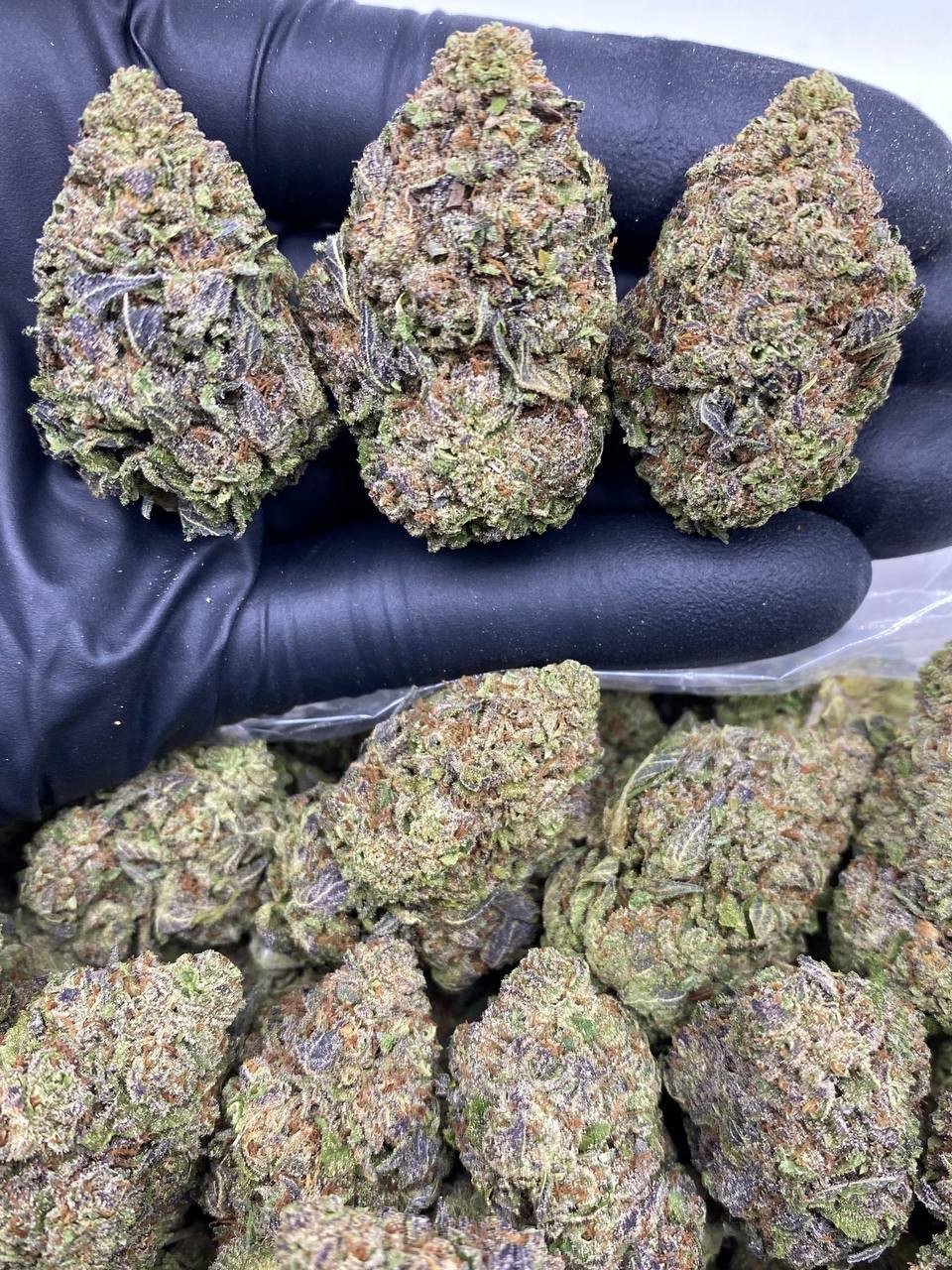 GREASE RUNTZ GREASE RUNTZ