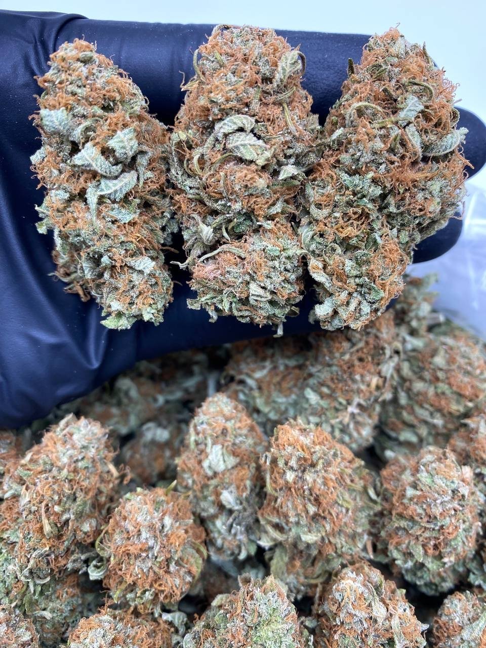 PLATINUM BUBBAS PLATINUM BUBBAS