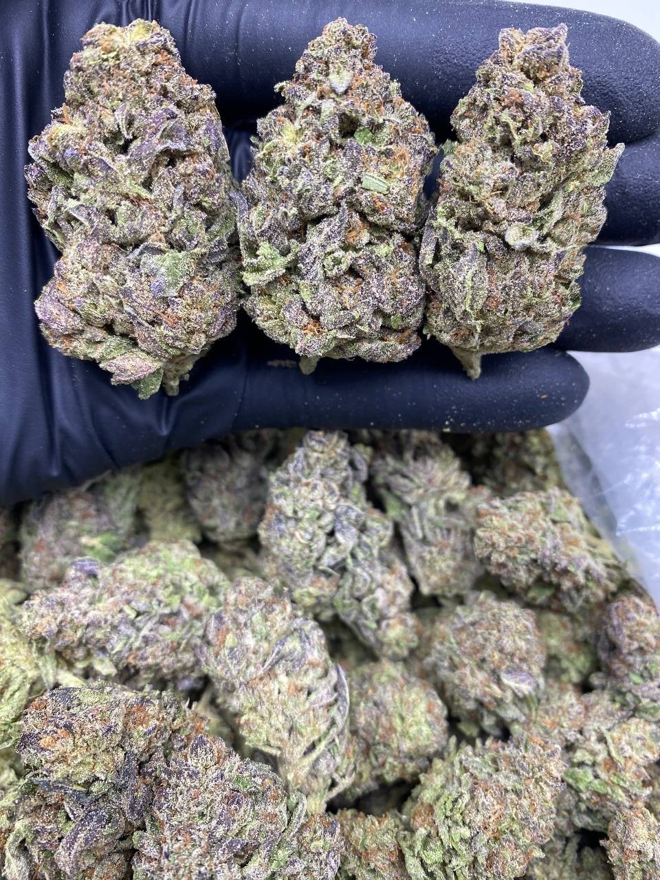 PURPLE FROYO PURPLE FROYO