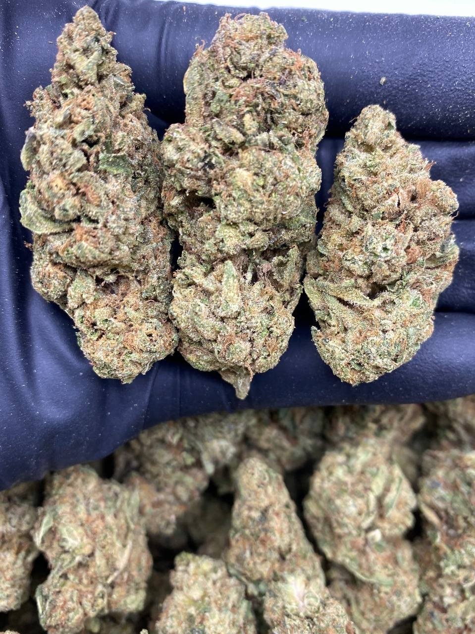 KEY LIME RUNTZ KEY LIME RUNTZ