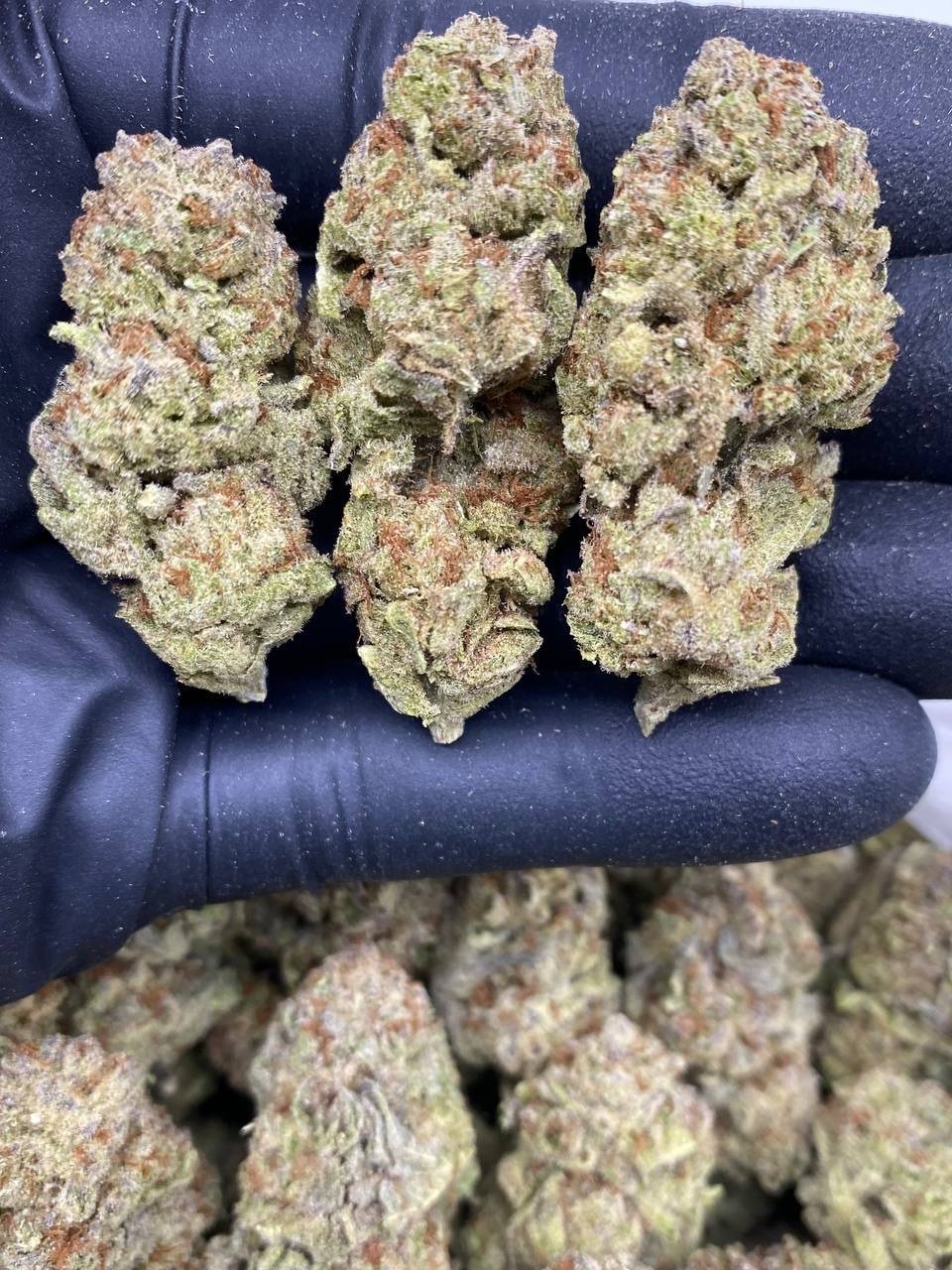 OREO SMORES OREO SMORES