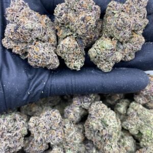 ZA BUBBLE GUM GELATO