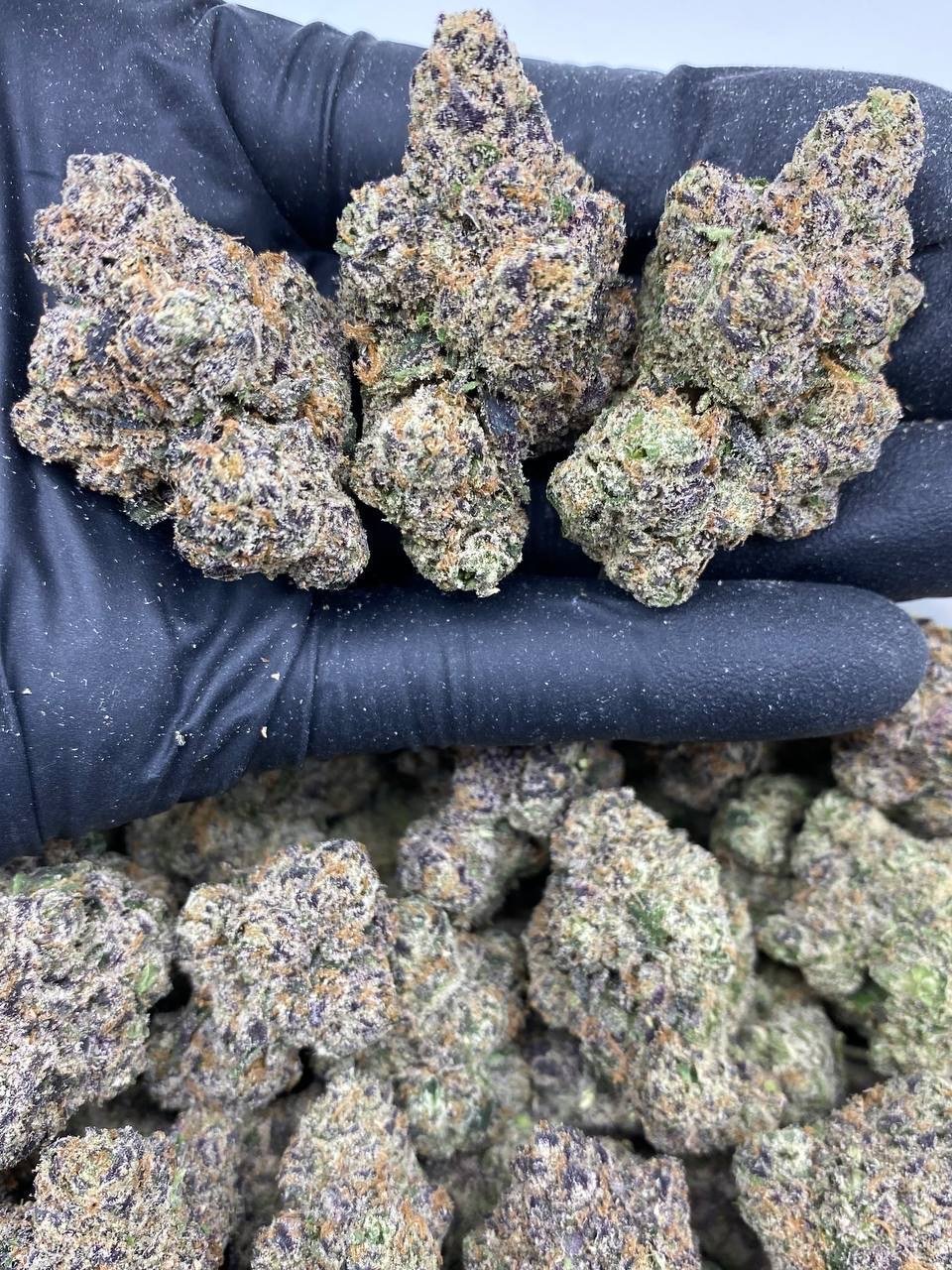 ZA BUBBLE GUM GELATO ZA BUBBLE GUM GELATO