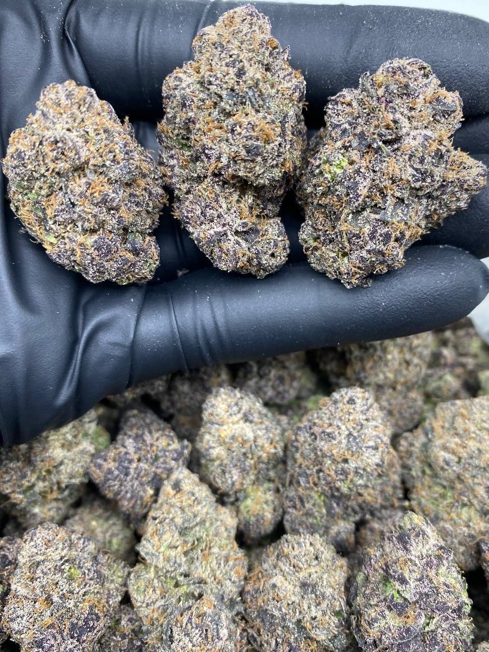 PURPLE CANDY FLIP PURPLE CANDY FLIP