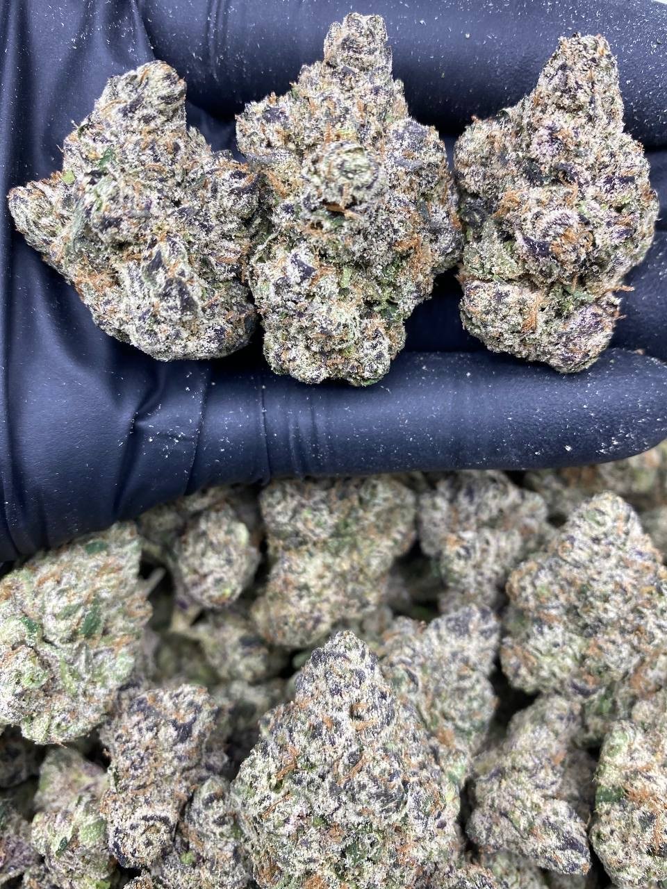 ZA CANDY FUMES ZA CANDY FUMES