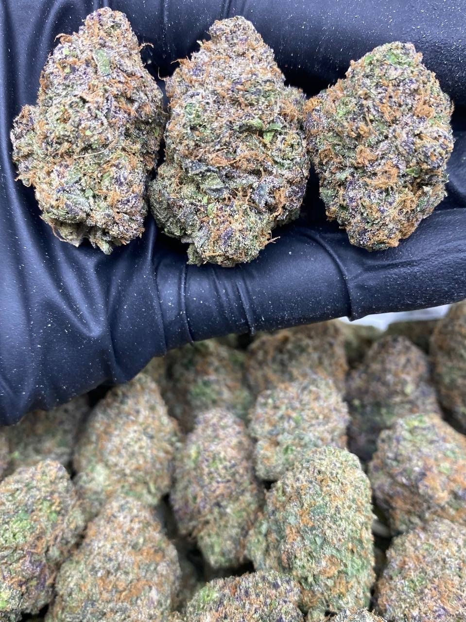 CHERRY SHERBLATTO CHERRY SHERBLATTO