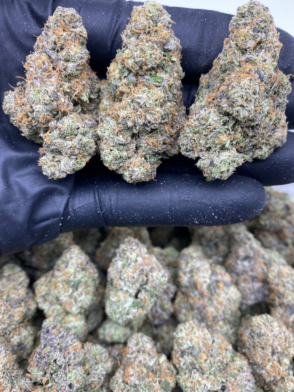 FROZEN CHERRIES FROZEN CHERRIES