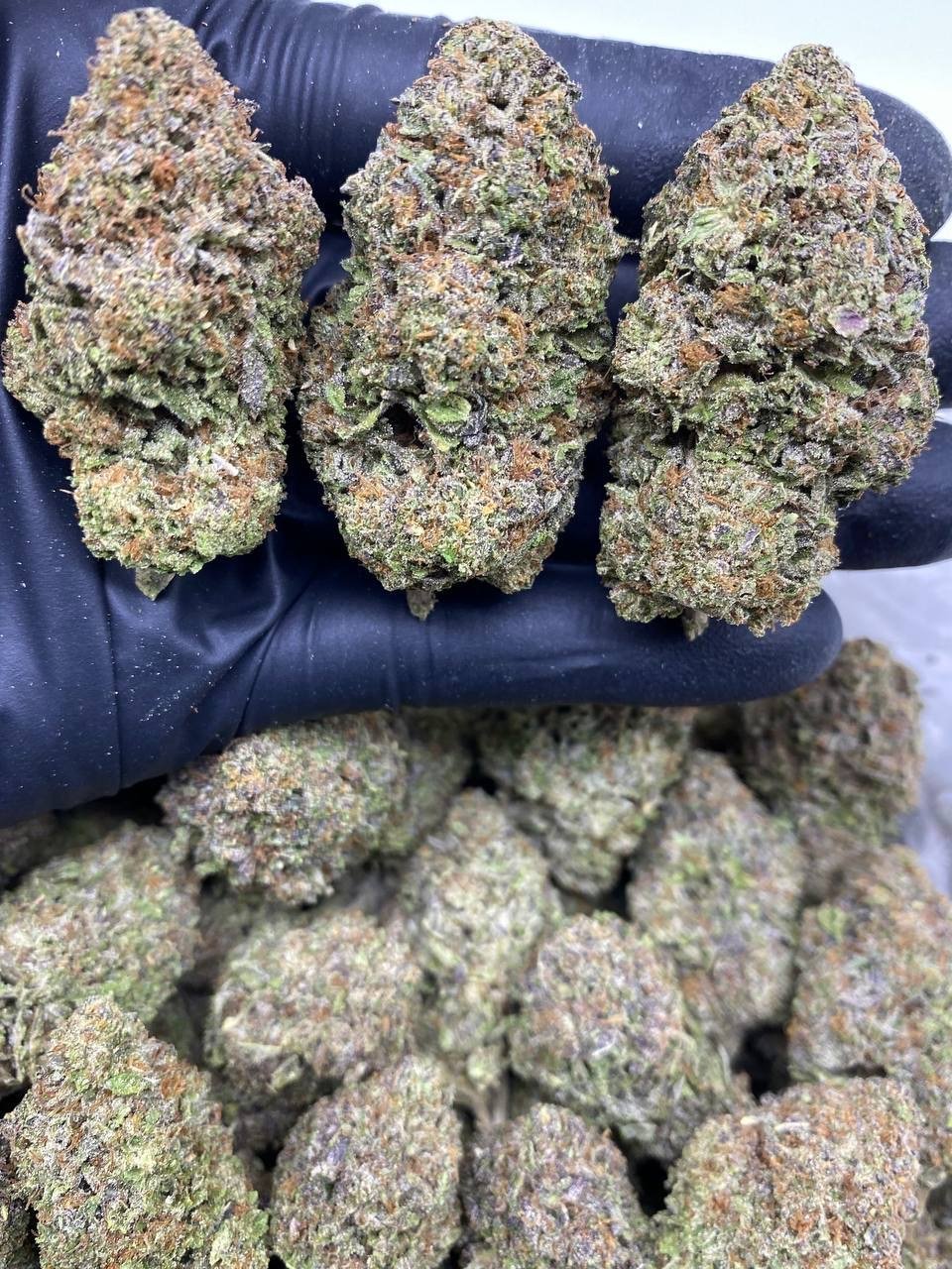 CEREAL MILK CEREAL MILK