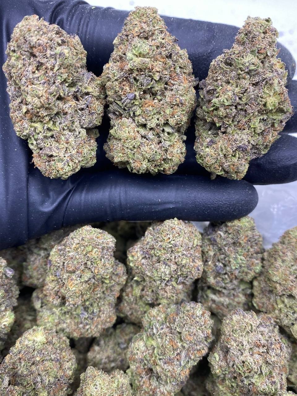 MILK N COOKIES MILK N COOKIES