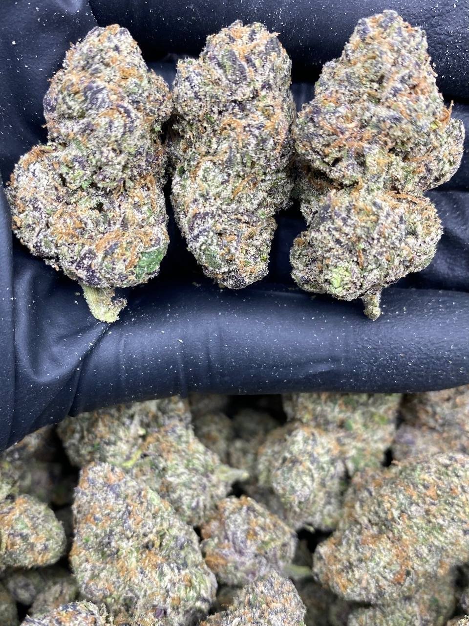 RAINBOW WARHEADS RAINBOW WARHEADS