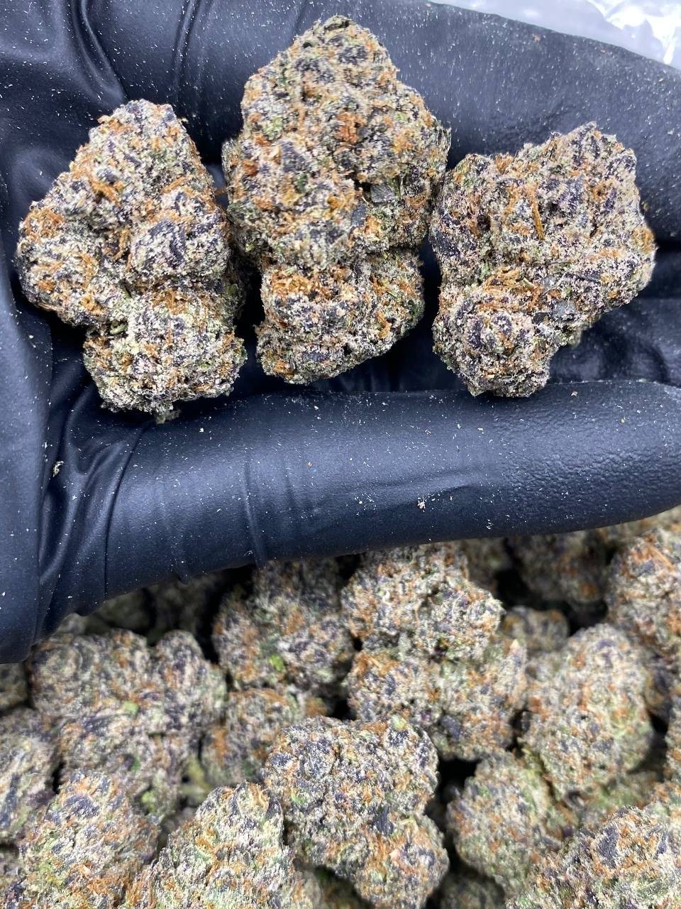 BLUE RAZZ SLUSHY BLUE RAZZ SLUSHY