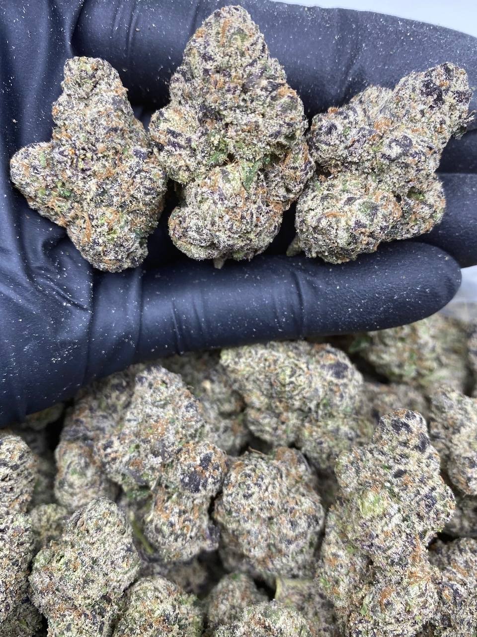 ZA OCTANE RUNTZ ZA OCTANE RUNTZ