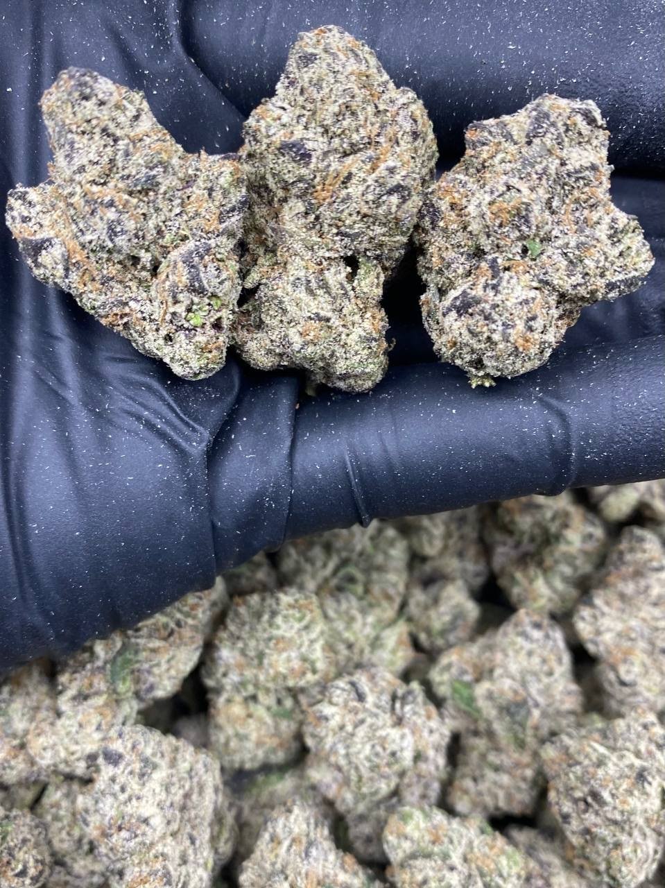 ZA WHITE GUMMIES ZA WHITE GUMMIES