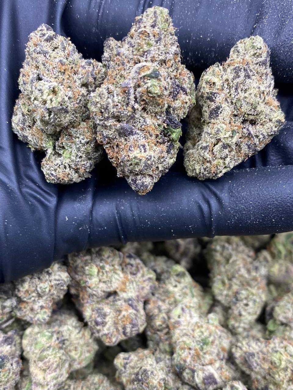 WATERMELON GUSHERS WATERMELON GUSHERS