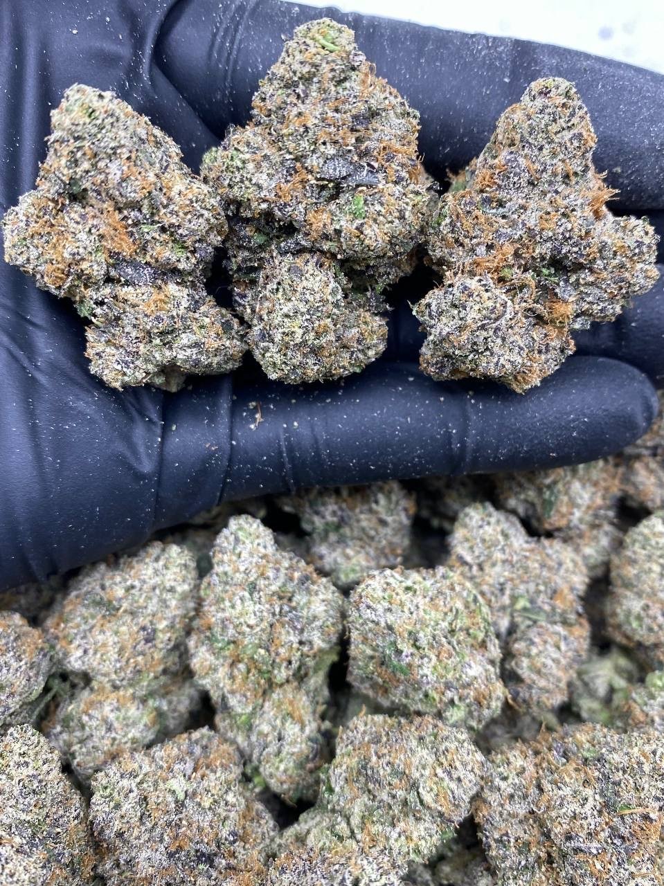 GALACTIC RUNTZ import placeholder for 596