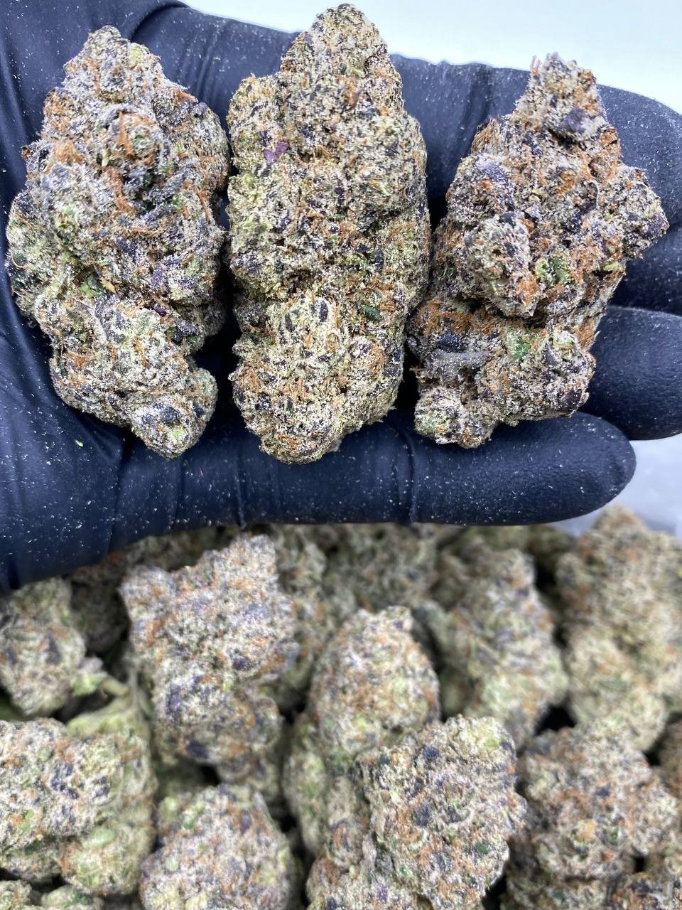 CHERRY BLIZZARDS CHERRY BLIZZARDS