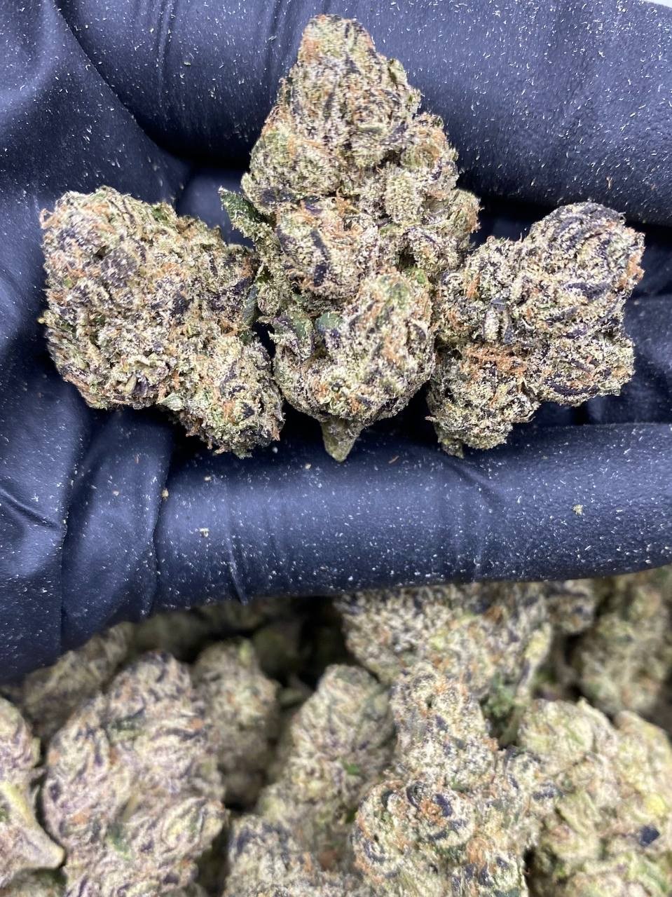 BLUE BUTANE BLUE BUTANE