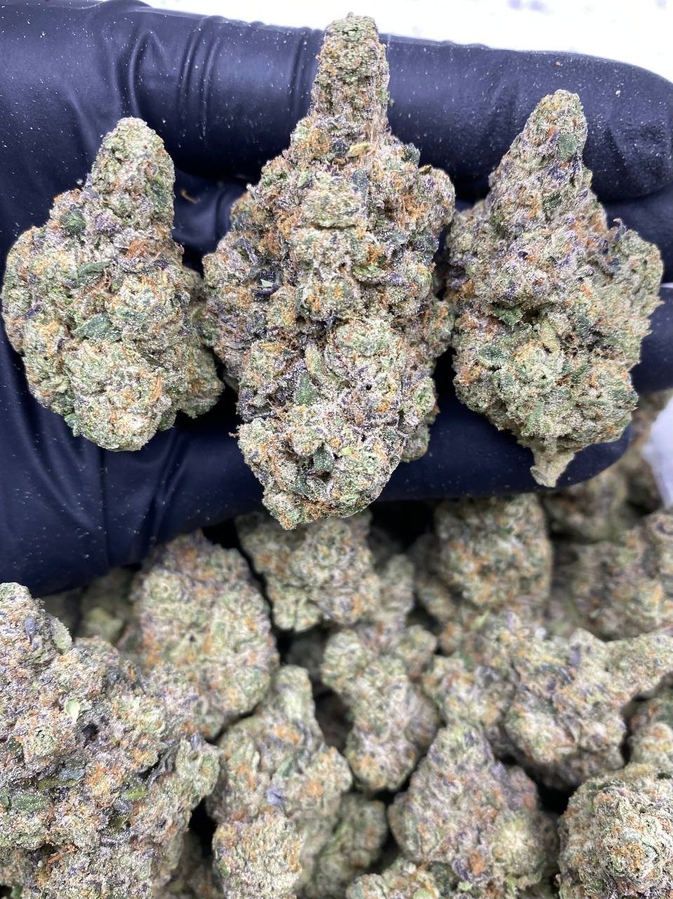 LA KUSHCAKE LA KUSHCAKE