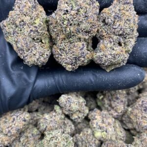 import placeholder for 591