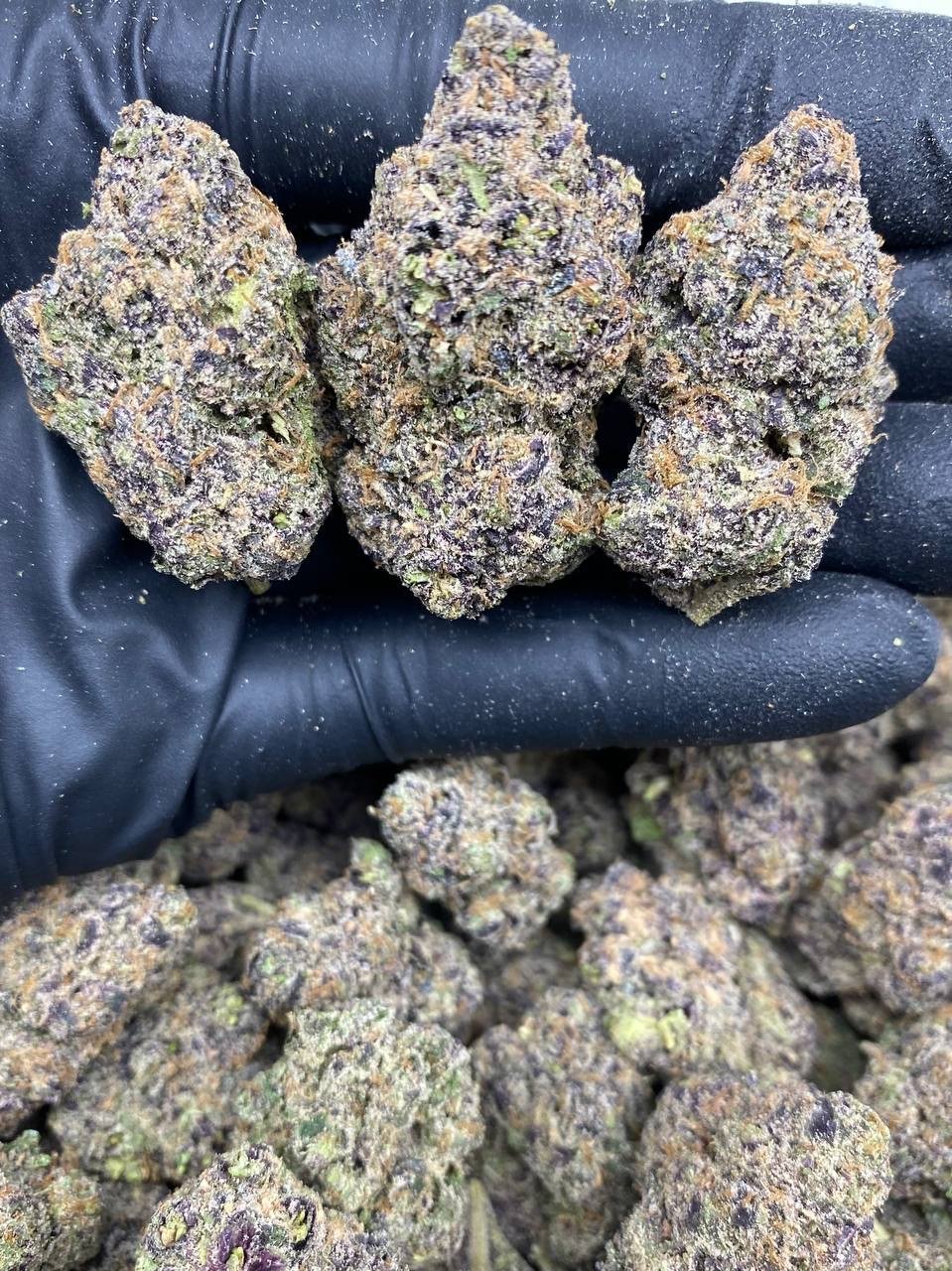 import placeholder for 591 import placeholder for 591