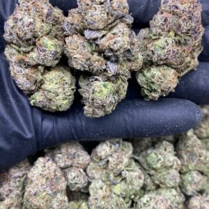 import placeholder for 636