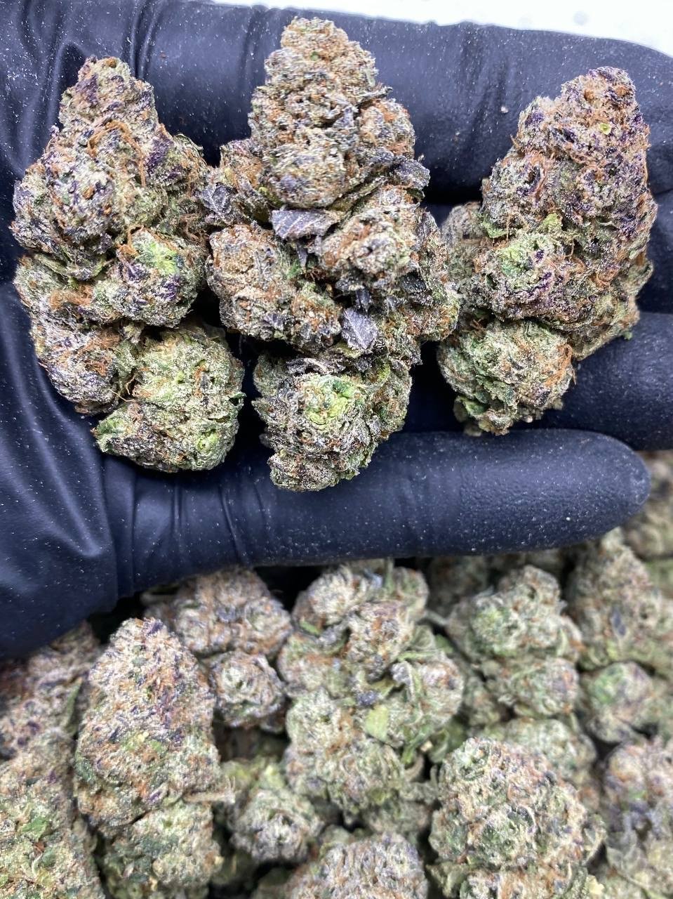 import placeholder for 636 import placeholder for 636