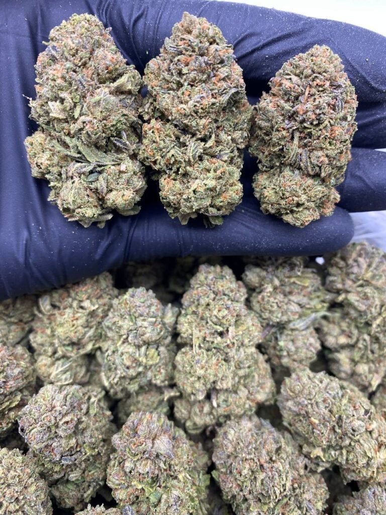 COBRA RUNTZ COBRA RUNTZ