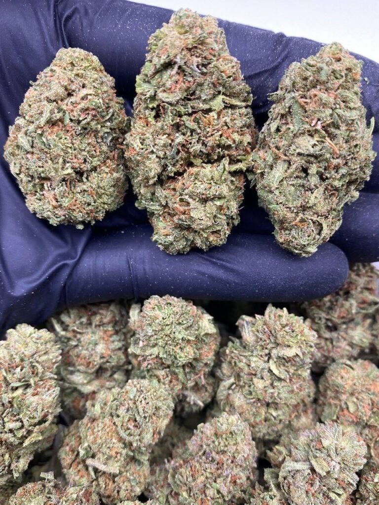 KOSHER KUSH KOSHER KUSH