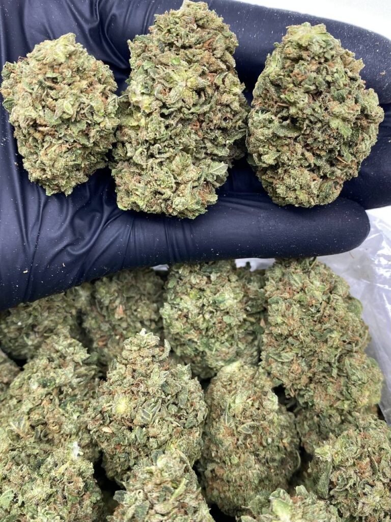 RUNTZ CAKE RUNTZ CAKE