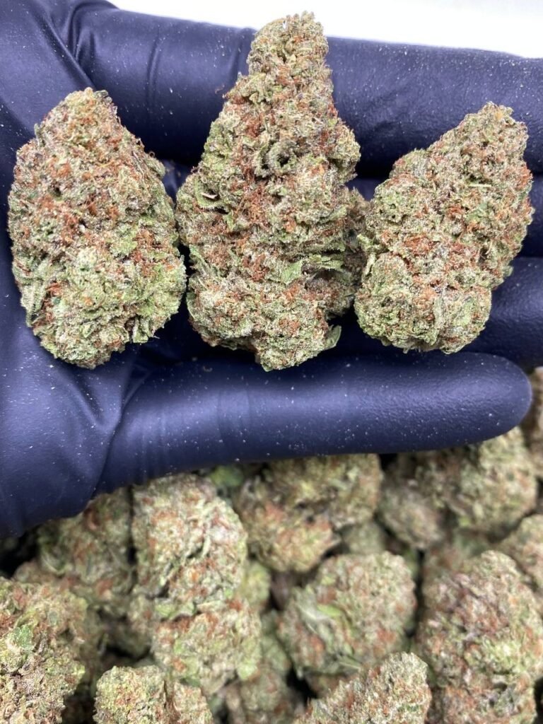 TRUFFLELATTO TRUFFLELATTO