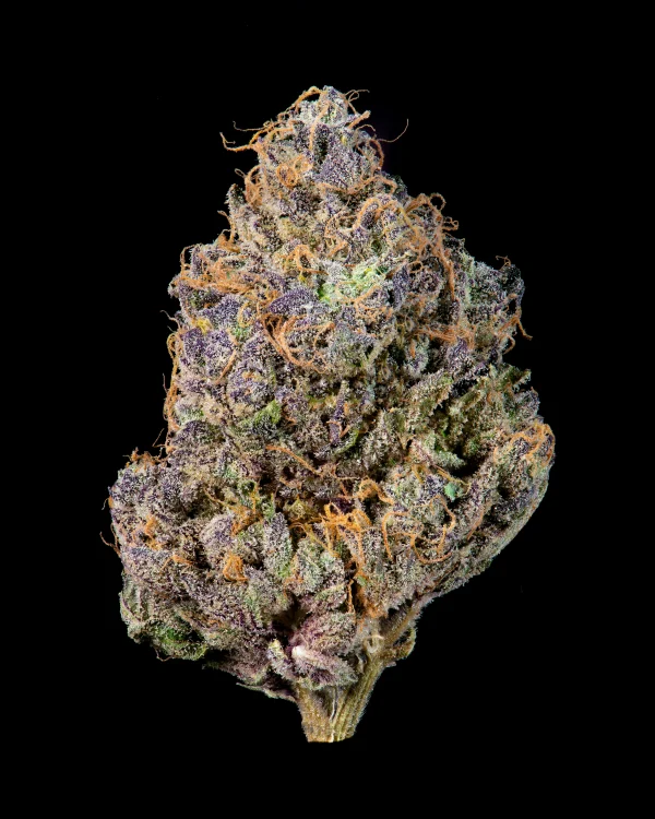 cookies strain cookies strain